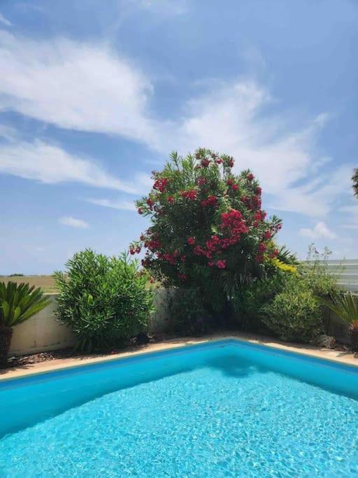 Budget Escape To The Seaside Larnaca Ngoại thất bức ảnh
